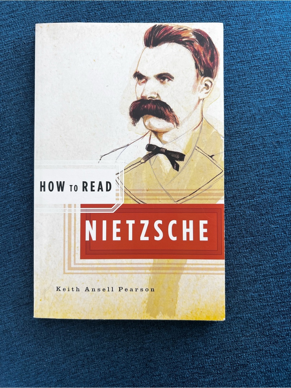 How to Read Nietzsche Paperback Book